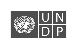 undp
