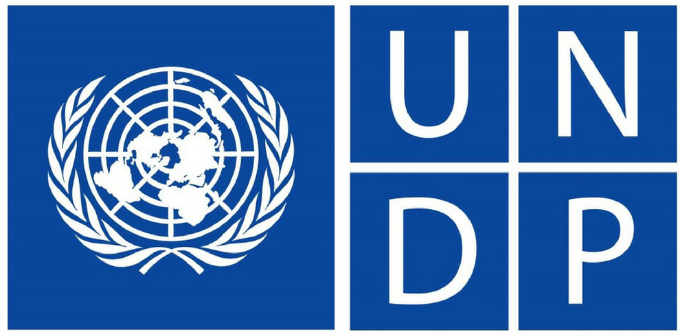 UNDP United Nations Development Programme
