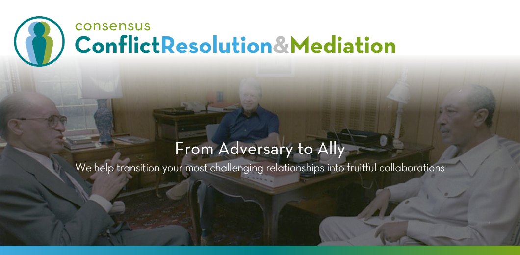 Resolve Professional & Partner Partnership Disputes | Conflict Resolution & Mediation