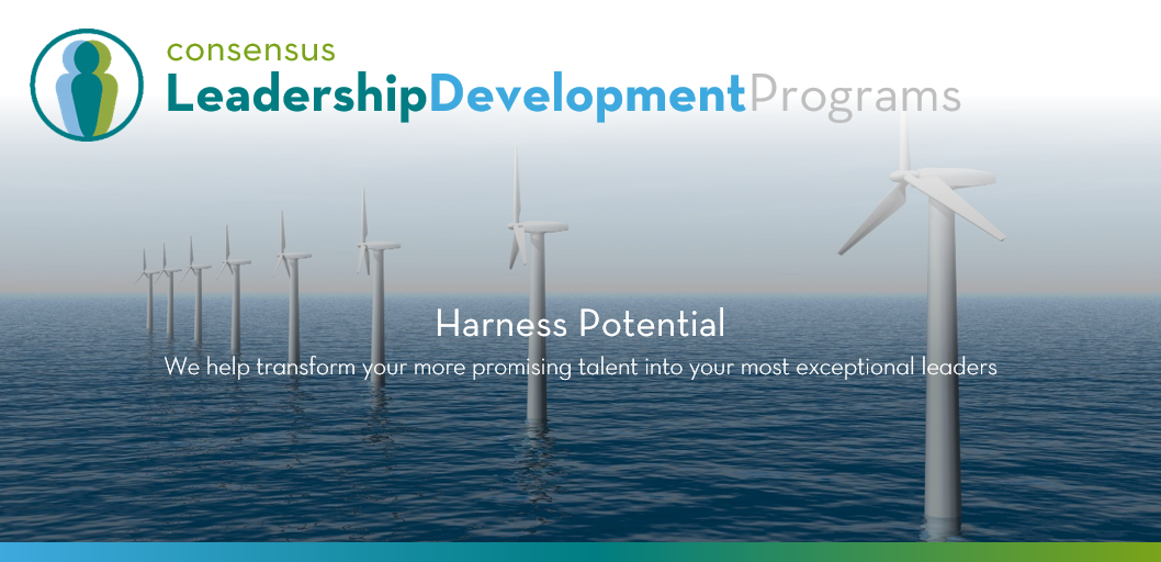Leadership Development Training Programs | Customized Workshop Solutions